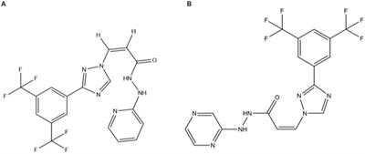 Development of a UPLC-MS/MS method for quantifying KPT-335 (Verdinexor) in feline plasma for a study of PK